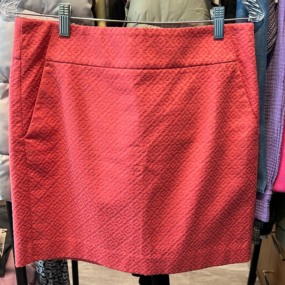 💕 Ann Taylor petite beautifully embroidered skirt w pockets and fully lined